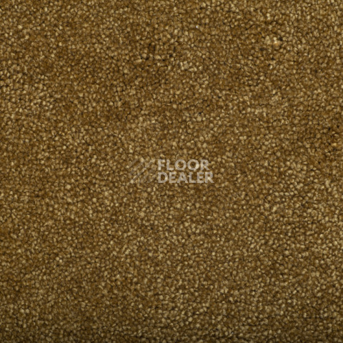 Ковролин  Mustard фото 1 | FLOORDEALER